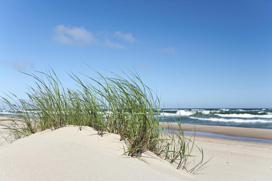 Elija Apartments Palanga Eksteriør billede
